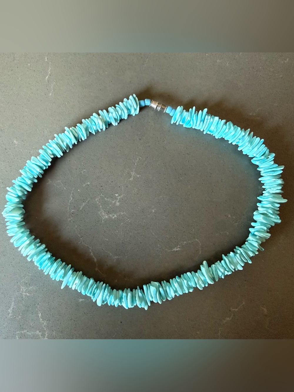 Turquoise Shell Necklace